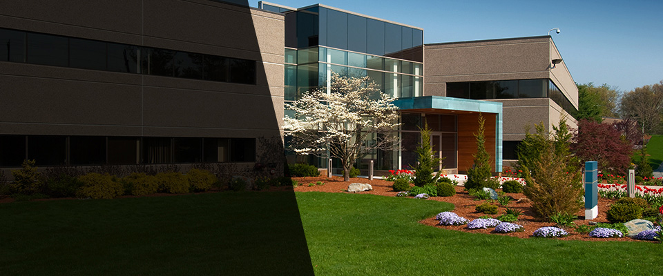 Tiverton Landscapers
