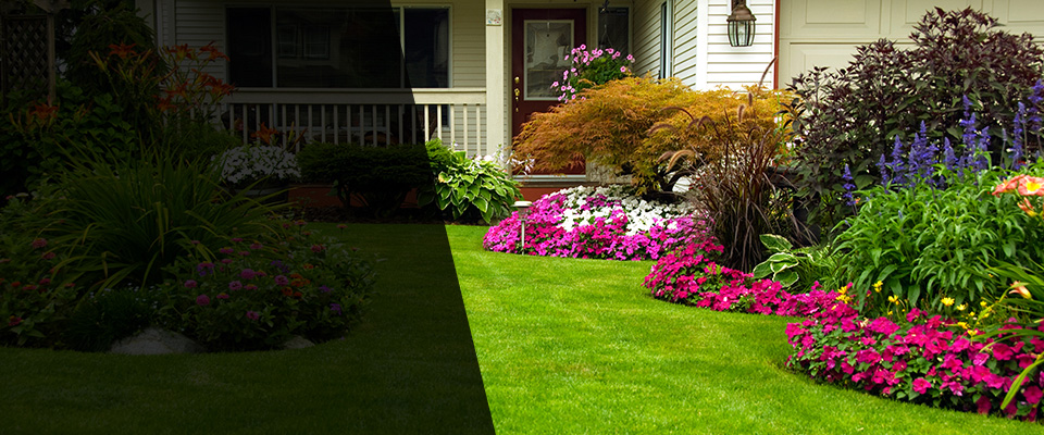Tiverton Landscapers