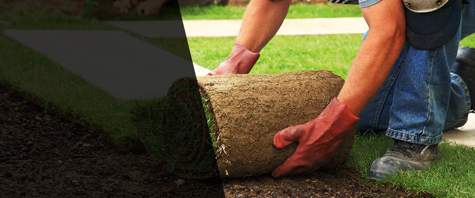 Tiverton Landscapers